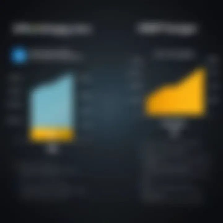 Chart illustrating direct and indirect costs of SAP implementation