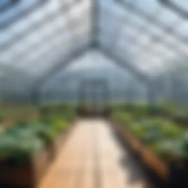 Case Study: Financial Impact of Greenhouse HR Case study analysis of Greenhouse HR implementation