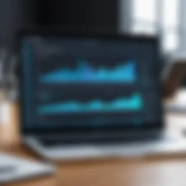 Budget Analysis Software Interface Visual representation of budget analysis software interface