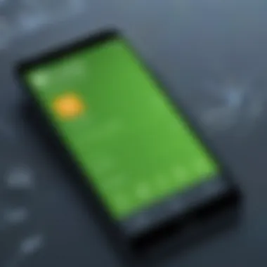 Exploring Diverse Language Courses in Duolingo Mobile User interface of Duolingo Mobile application showcasing diverse language courses