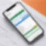 Editing spreadsheets interface on an iPhone