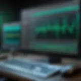 User engaging with Adobe Audition for music editing