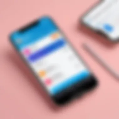 User Interface of Klarna App User interface of Klarna app