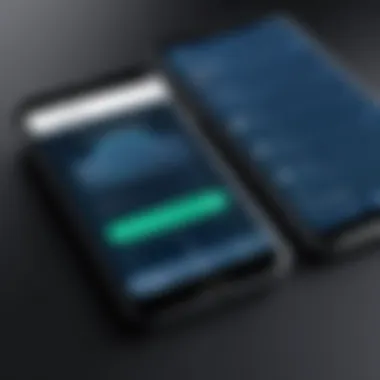 Duo Mobile App Interface Duo Mobile app interface showcasing two-factor authentication